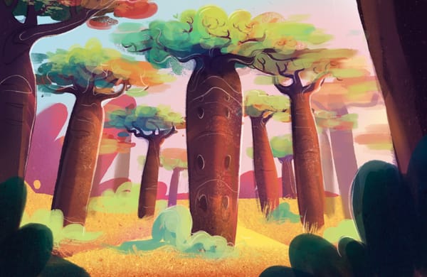 Baobab woods